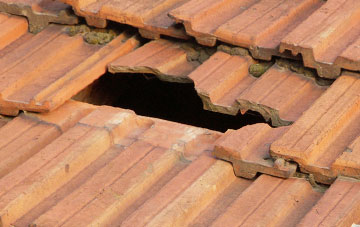 roof repair Stoke Charity, Hampshire