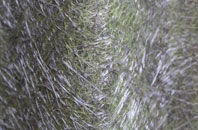 Stoke Charity fibreglass roof work